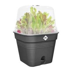 Elho Green Basics Kweekpot Vierk. Allin1 30 Cm Zwart -Aanbiedingen Tuin Wonder Winkel elho green basics kweekpot vierk allin1 30 cm zwart 1000x1000 64aebae598bcd l