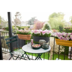 Elho Vibia Campana Balkonbak Allin1 50 Cm Bruin 11 Elho Vibia Campana Balkonbak Allin1 50 Cm Bruin -Aanbiedingen Tuin Wonder Winkel elho vibia campana balkonbak allin1 50 cm bruin 1000x1000 64aebb05a0c21 l