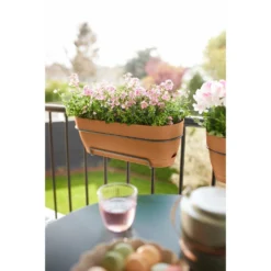 Elho Vibia Campana Balkonbak Allin1 50 Cm Bruin 12 Elho Vibia Campana Balkonbak Allin1 50 Cm Bruin -Aanbiedingen Tuin Wonder Winkel elho vibia campana balkonbak allin1 50 cm bruin 1000x1000 64aebb05dfeea l