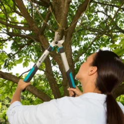 GARDENA Takkenschaar EasyCut 500 B -Aanbiedingen Tuin Wonder Winkel gardena takkenschaar easycut 500 b 1500x1000 640af7e5d4f80 l