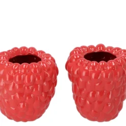 Raspberry Vaas Fuchsia 19x19cm