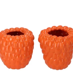 Raspberry Vaas Oranje 19x19cm
